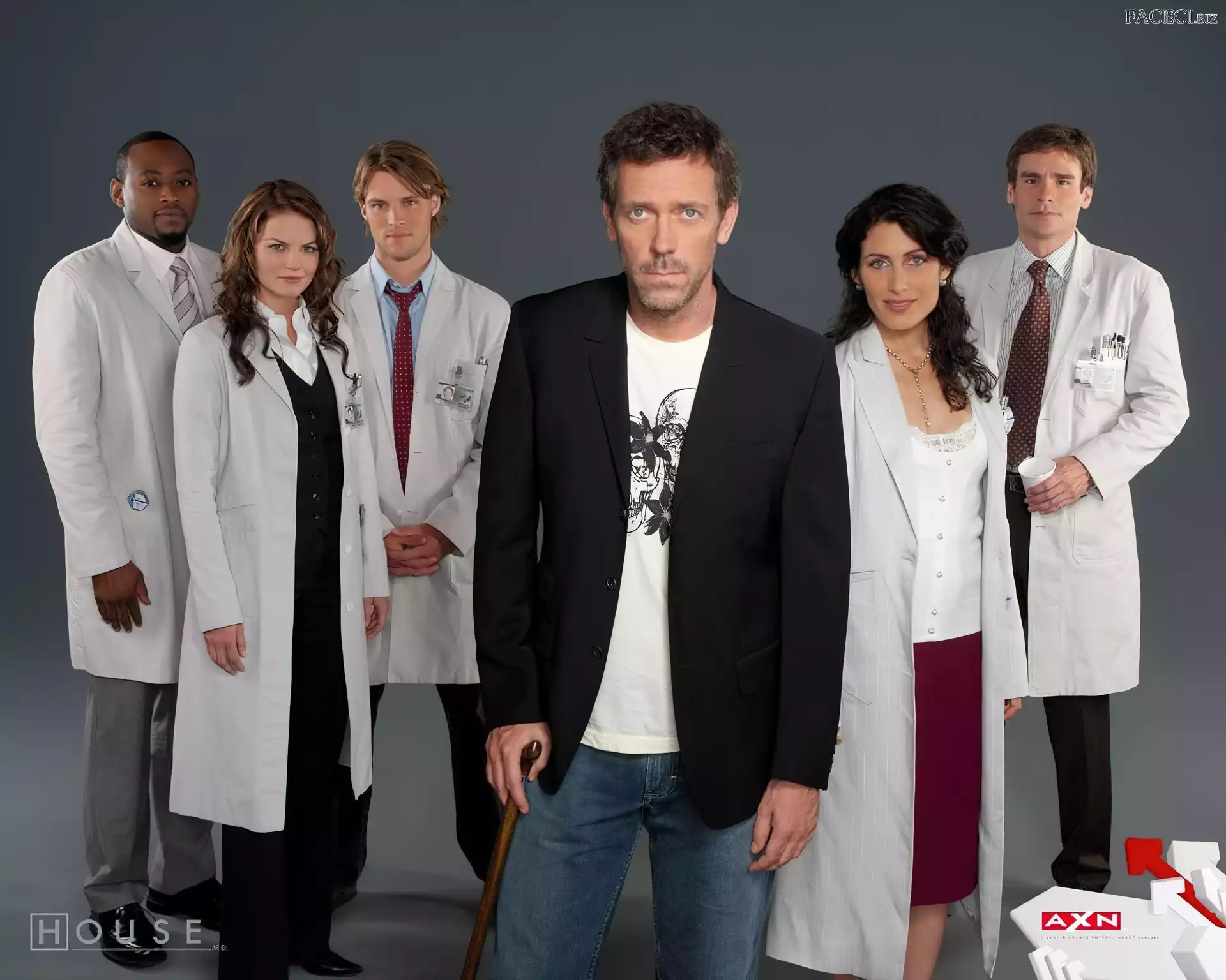 Hugh Laurie, Lekarze, Dr. House