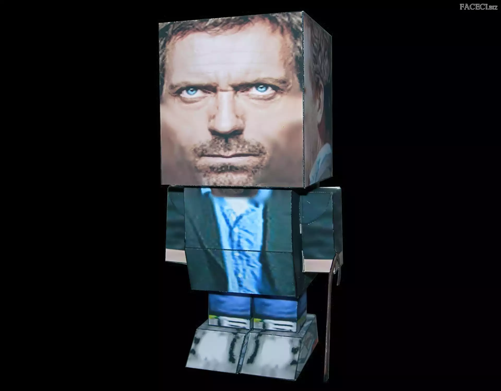 Pudełka, Dr. House, Hugh Lauriego